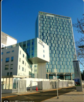 Ibis conde del maule